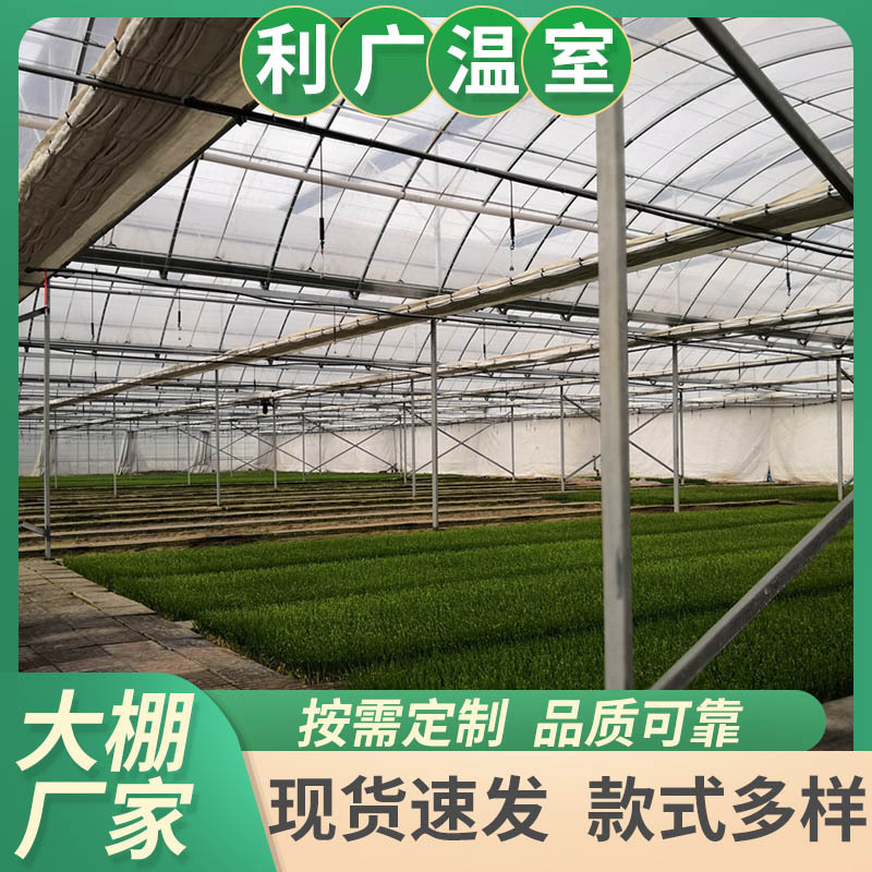 连栋薄膜温室 温室大棚搭建 日光蔬菜暖棚山东大棚工程报价