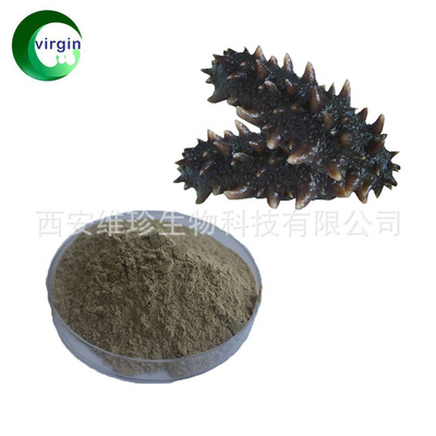 现货包邮 海参提取物 海参粉99% 水溶性 海参蛋白 可定制代加工|ms