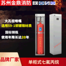 单柜式七氟丙烷自动气体灭火装置 机房用灭火器免费设计灭火方案