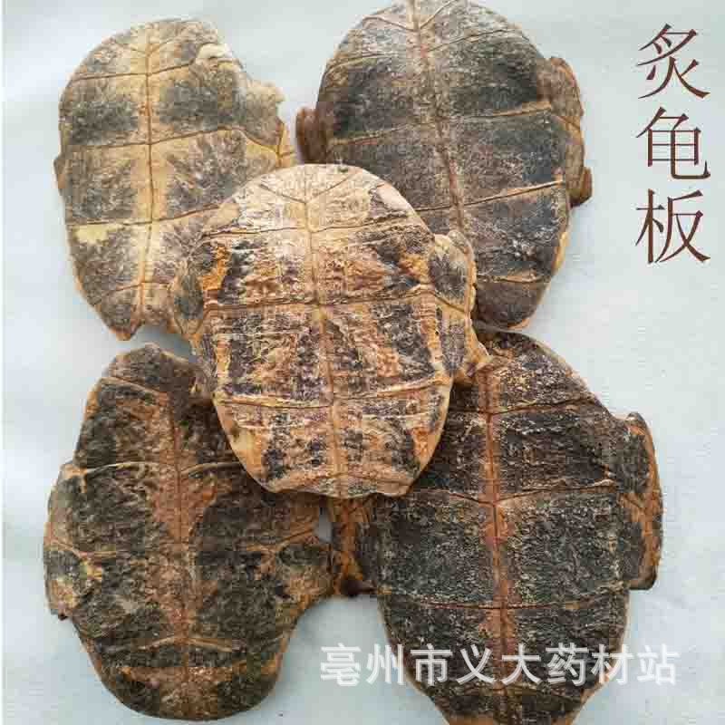 批发中药材 龟板 醋制龟板 炙龟板 龟壳龟甲生 规格齐全-阿里巴巴