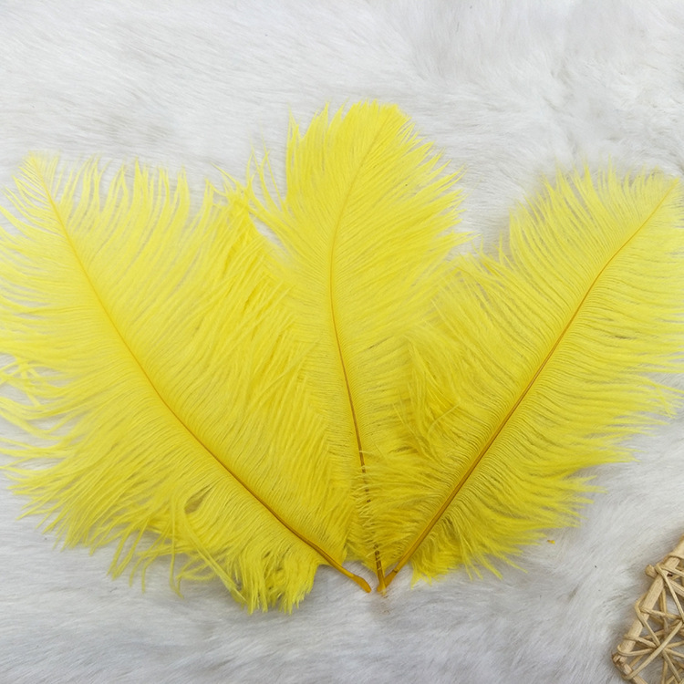 复制_产地货源20-25CM鸵鸟羽毛 插花di.jpg