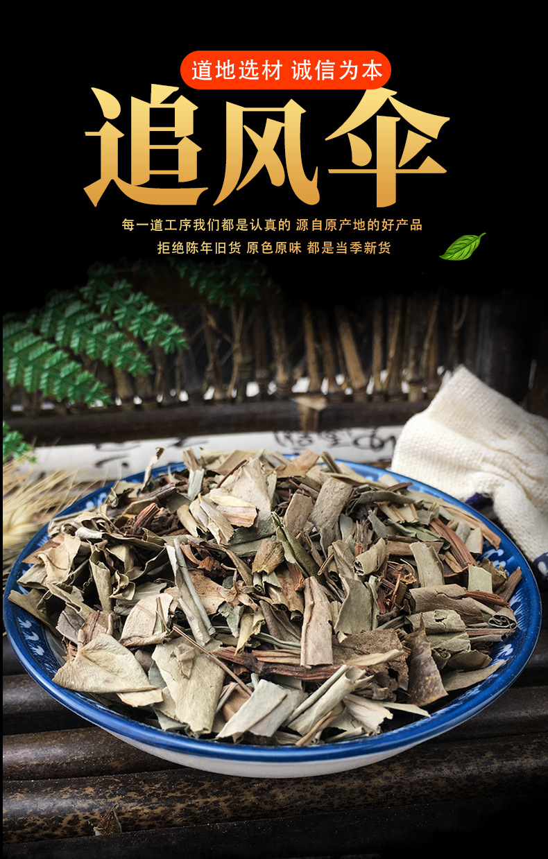 Zhui Feng San Dried Herb 500g Whole Plant Traditional Chinese Herbal Ingredient key features