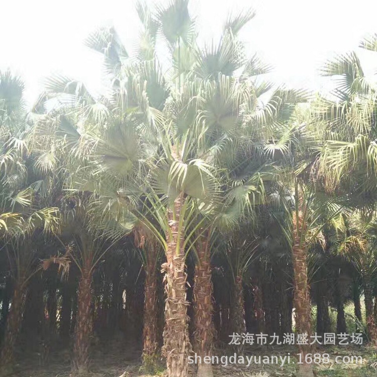 IMG_5639(20200228-235907)