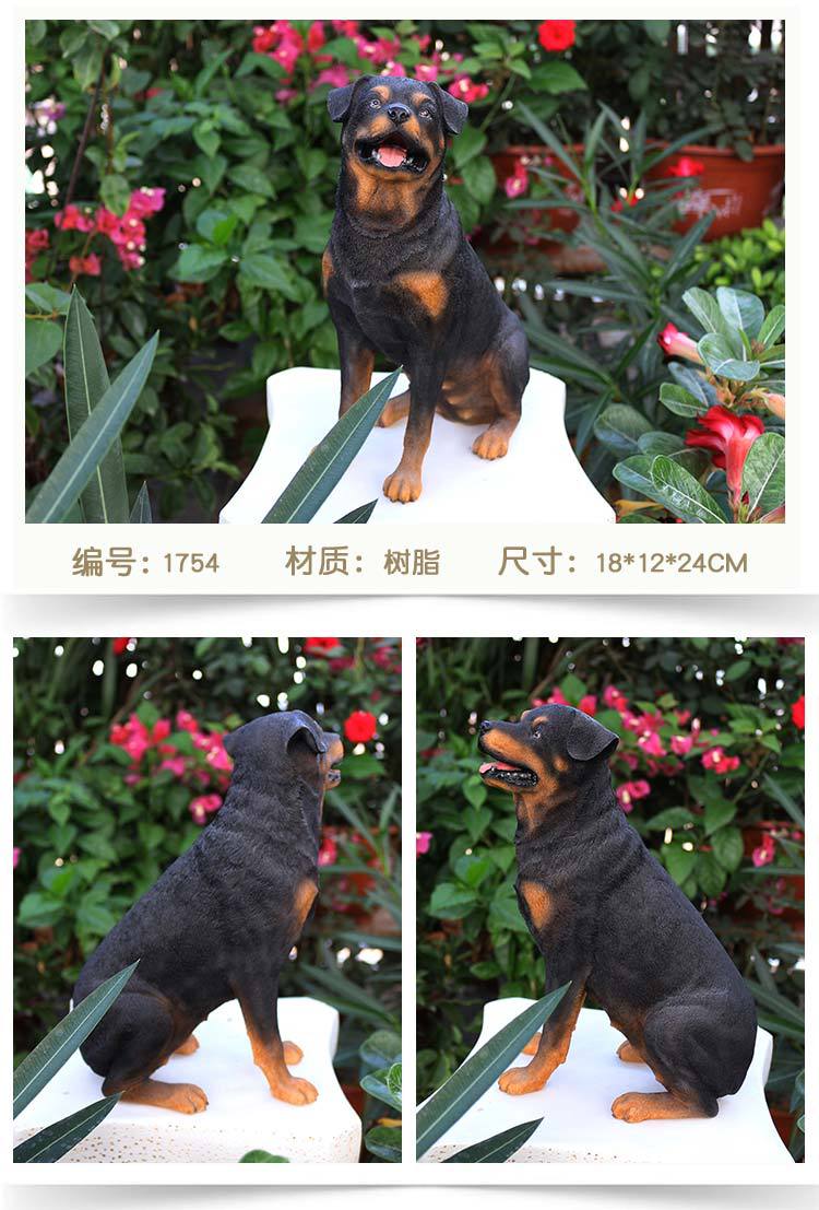 罗威纳犬_04.jpg