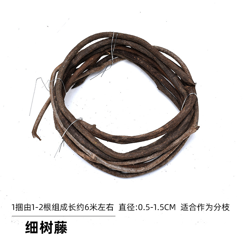 Árbol vid simulación vid seca montaña ratán rural paisaje decoración del paisaje vid seca vid vieja Montaña Roja tubería de vid