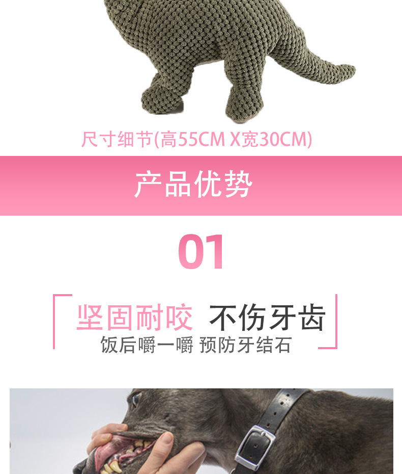 恐龙3详情页(1)_003.png