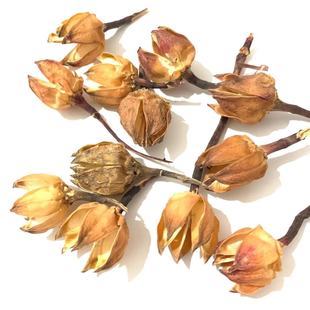 ��ʮ�N�ɘ�֦�ɘ��~�ɹ�ɏ��ľƬ�ɻ�̦�\���յ���ɭ�ֲ����b�Ʒ