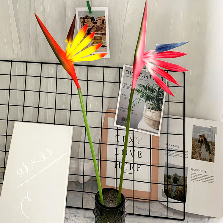 QQ图片20200605192335