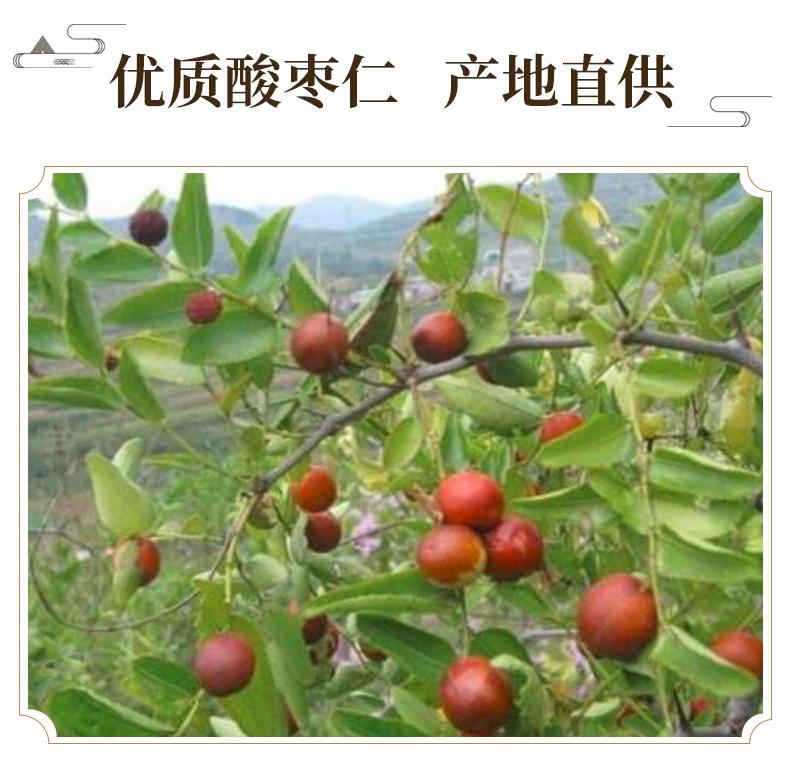 Sour Jujube Seed Suan Zao Ren 500g Dried Ziziphus Seeds Traditional Herbal Decoction Ingredient key features