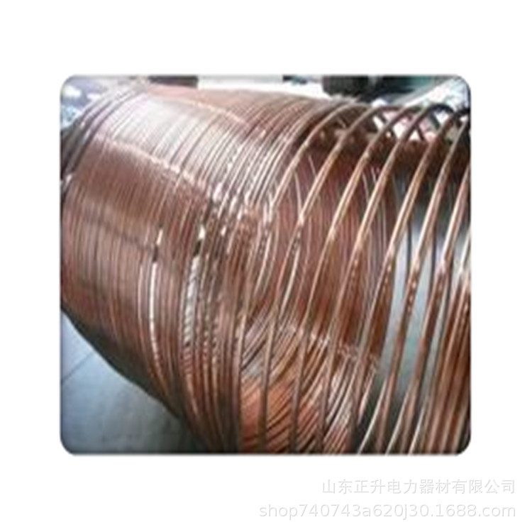 批发铜覆钢扁钢 铜包钢接地棒 铜包钢绞线 镀锡铜扁钢 管廊跨接件