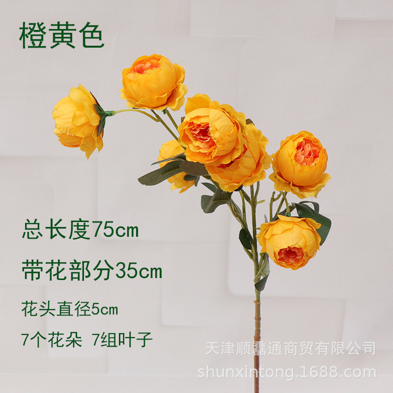 7头玲珑牡丹橙黄色2.jpg