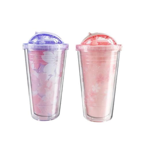 Hot Instagram plastic straw cup with high quality and double-layer sealed water cup for gifts 