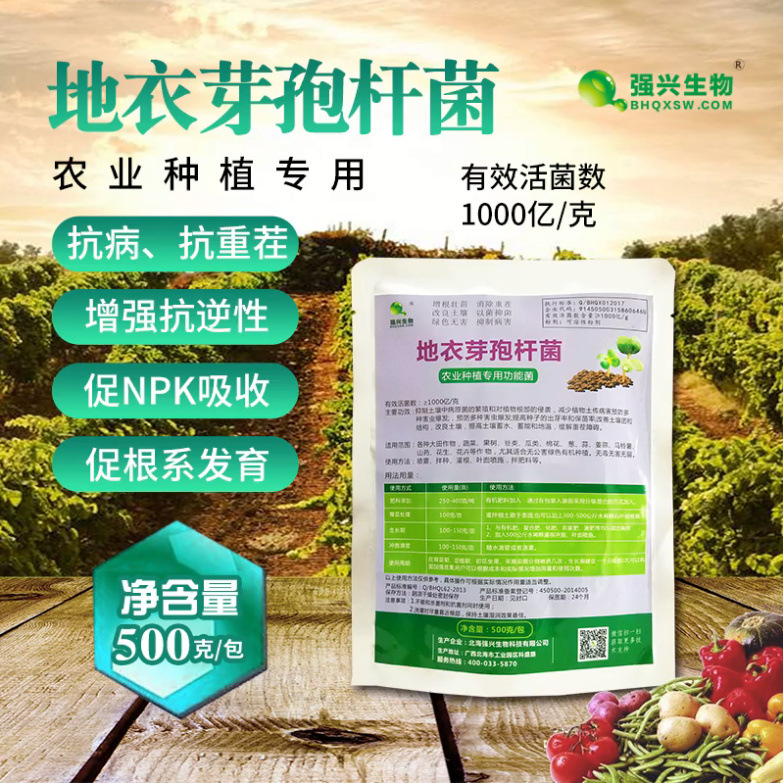 1000亿/克地衣芽孢杆菌保水保湿抗旱抗涝农业种植专用微生物菌剂