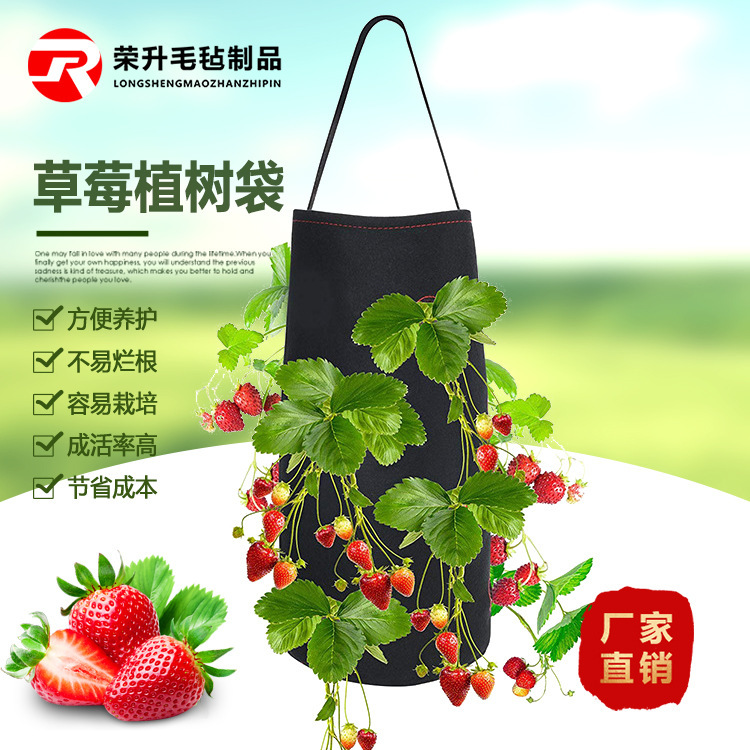 Bolsa de plantación de fresa de interior fieltro bolsa de plantación engrosada Flor de plántulas olla nutrición maceta de plántulas