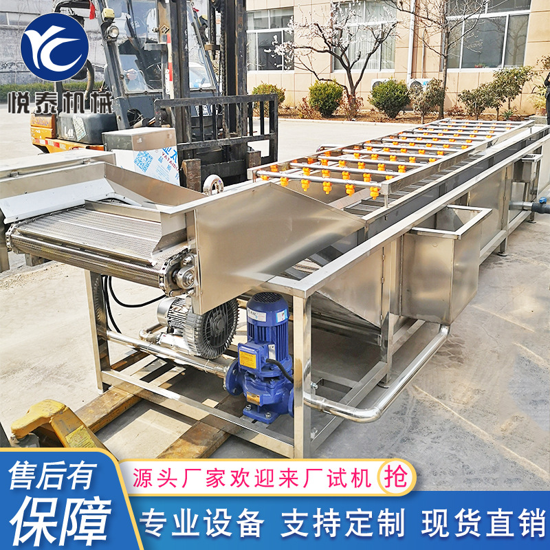 厂家供应 香菜气泡清洗机 茴香清洗设备 果蔬气泡清洗流水线