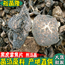 【裕菌隆】虎掌菌焦片酒店熬汤黑虎掌菌提取物山珍菌汤调味料批发
