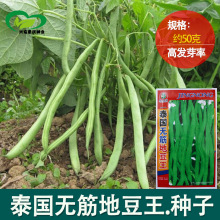 ̩���o��ض������ǷN�� �r��ˈ@��ܟo������ܿ�����߲���