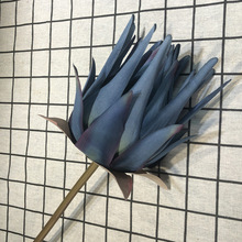 �OӋ�������滨������ �󻨲��Ù������������͏d�쾰��ɫ ��