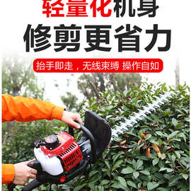 冬青修剪汽油绿篱机 单双刃汽油绿篱机图片 背负式汽油绿篱机价格