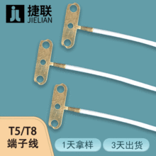 厂家直供T5/T8灯头端子线 T型线双孔黄铜端子线 LED灯具连接线