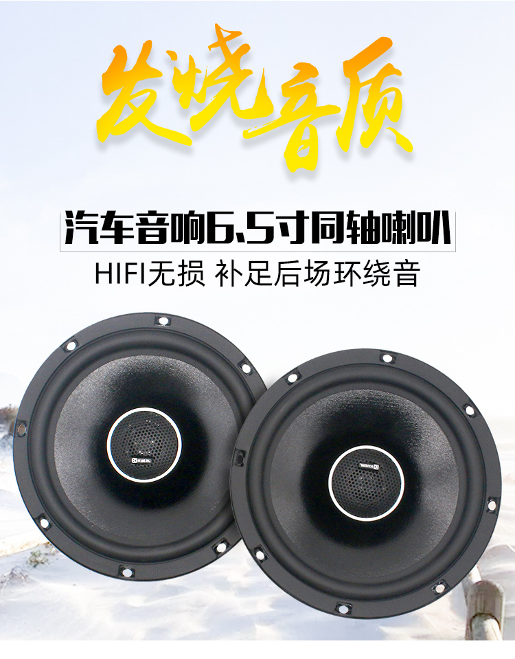同轴喇叭K-607详情_01.jpg
