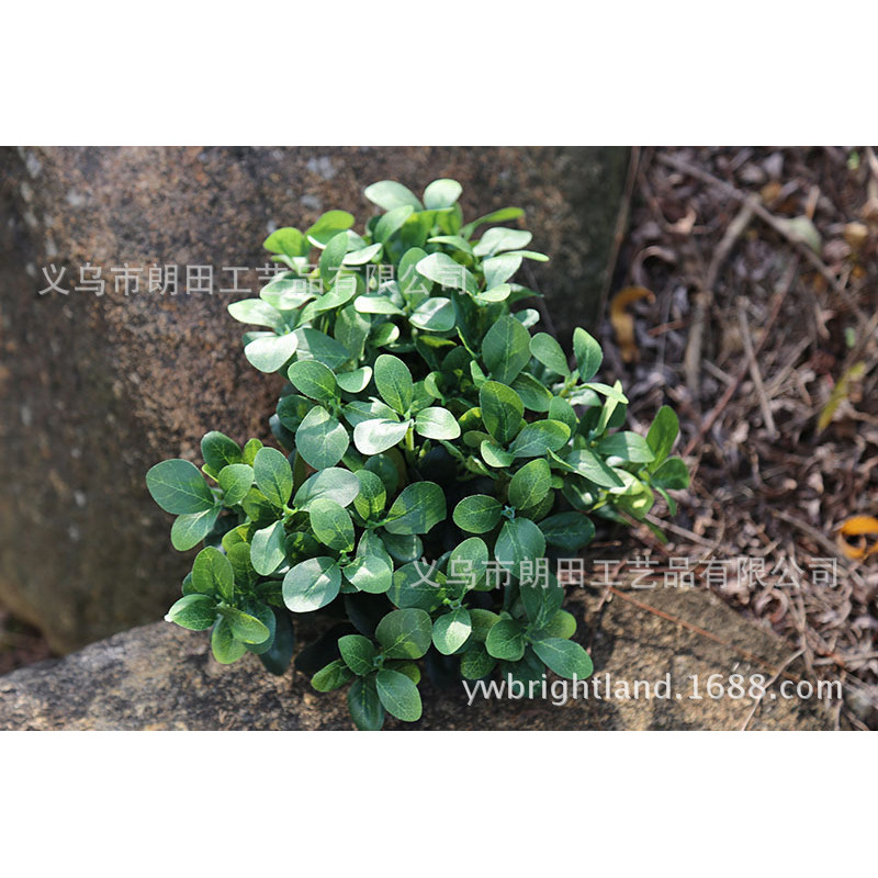 仿真9叉杜鹃叶仿真植物墙配材高档绿色植物壁挂仿真藤蔓叶子绿植
