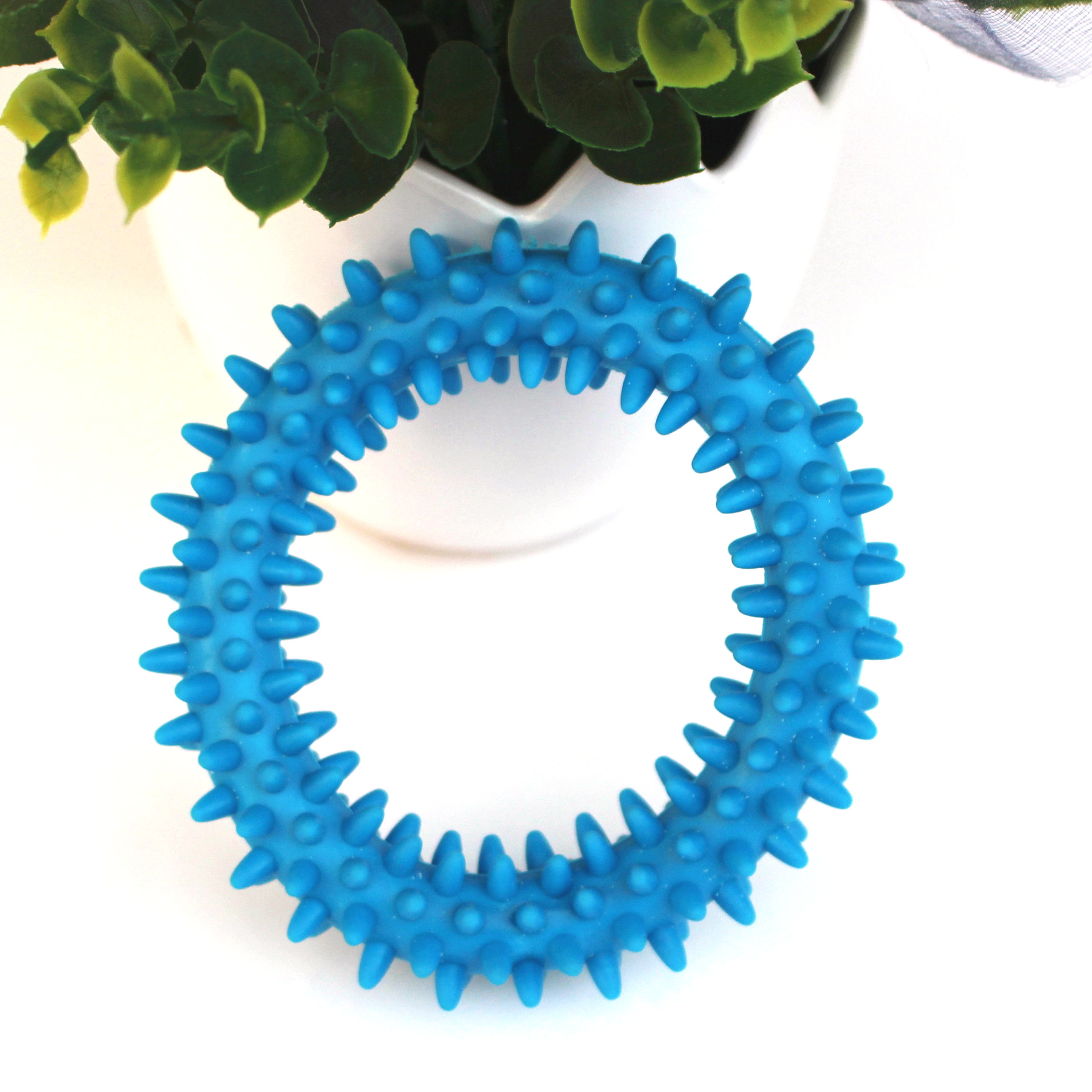 4268514109_2085543724