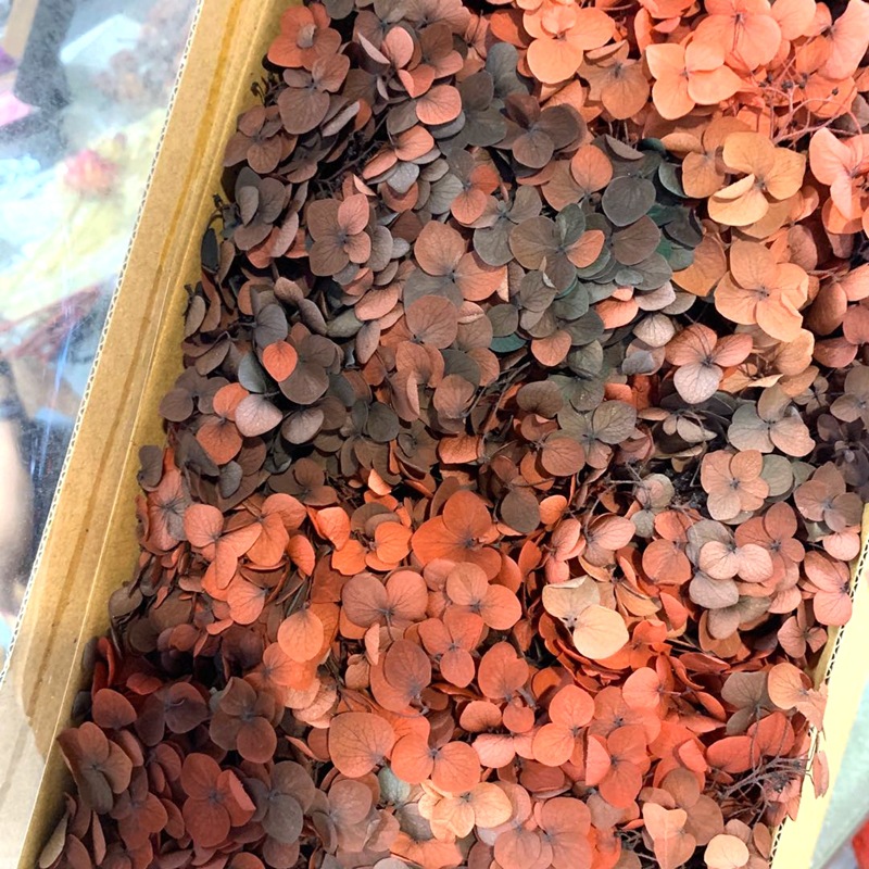 微信图片_20200702163822