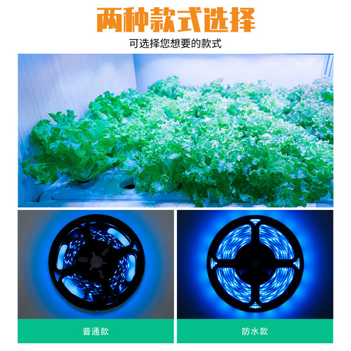 谦润照明LED植物生长灯家用USB植物灯带全光谱种植补光灯大棚花卉
