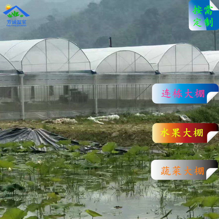 广东韶关实用型连栋大棚 蔬果种植温室顶部开窗通风设计 工厂供应