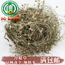 【满包邮】谷精草统货1kg散装谷精子天星草佛顶珠谷精珠沁信源