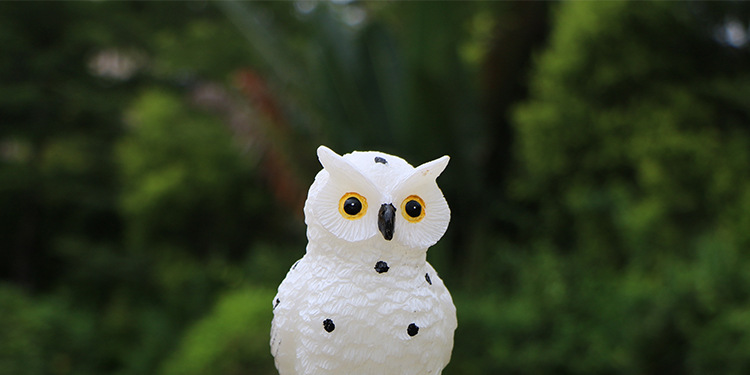 猫头鹰3_05.jpg