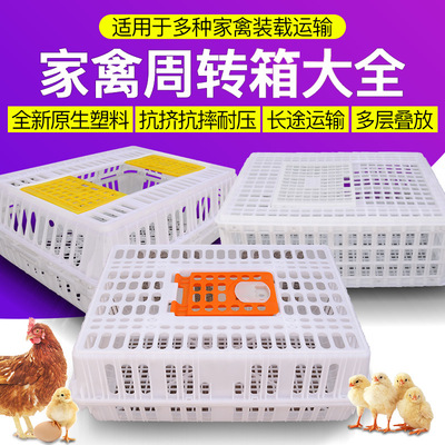 Chicken coop turnover box Plastic Poultry household Large Large fold thickening chick breed Transport cage