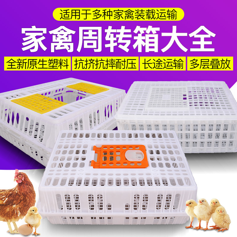 鸡笼周转箱塑料家禽家用大号特大折叠加厚成小鸡鸽兔筐养殖运输笼|ms