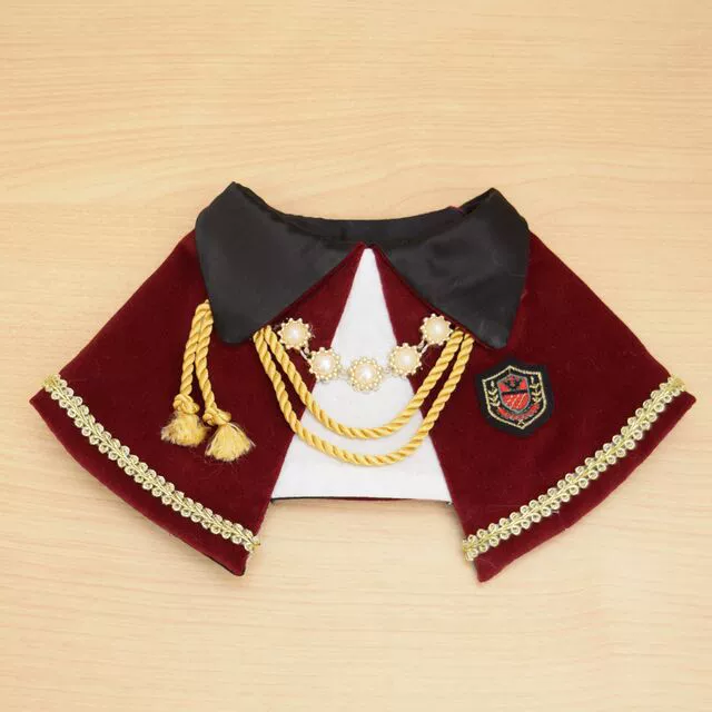 Товары для домашних животных Cat Decoration Snoop Красивый Забавный аксессуар 2020 Новая фабрика одежды для кошек в наличии