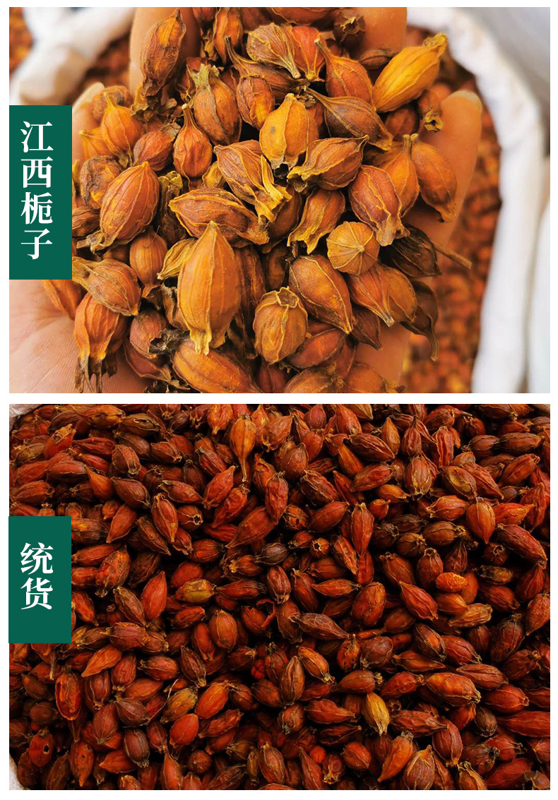 Gardenia Fruit Zhi Zi 500g Dried Fructus Gardeniae Herbal Decoction Pieces specifications