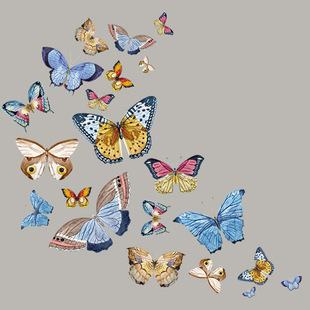 �S��ֱ�N�����C����ˮϴ�C�D�CӡEbay���uͨWish���u���Dӡ�C��