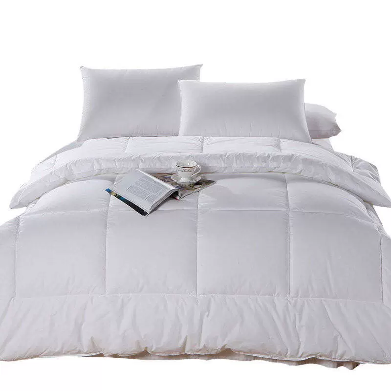 特价清仓酒店羽丝绒棉被被子被芯学生宿舍春秋被定制冬被