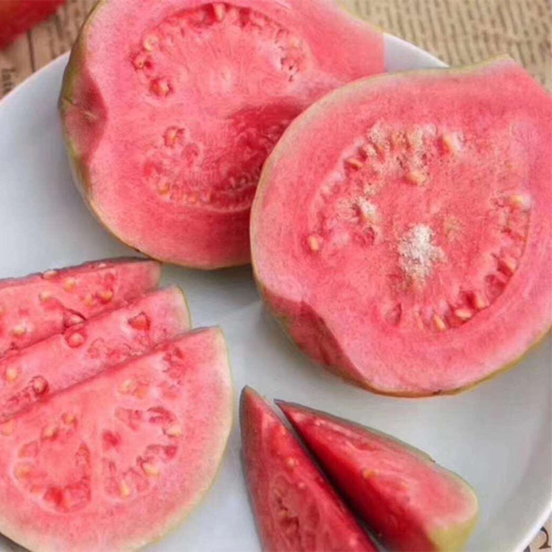 d06e6b57044cf1cd379e9a4397315c