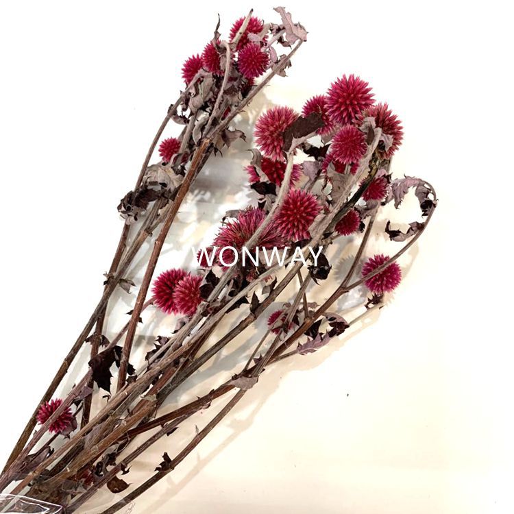 微信图片_20200226144204_副本