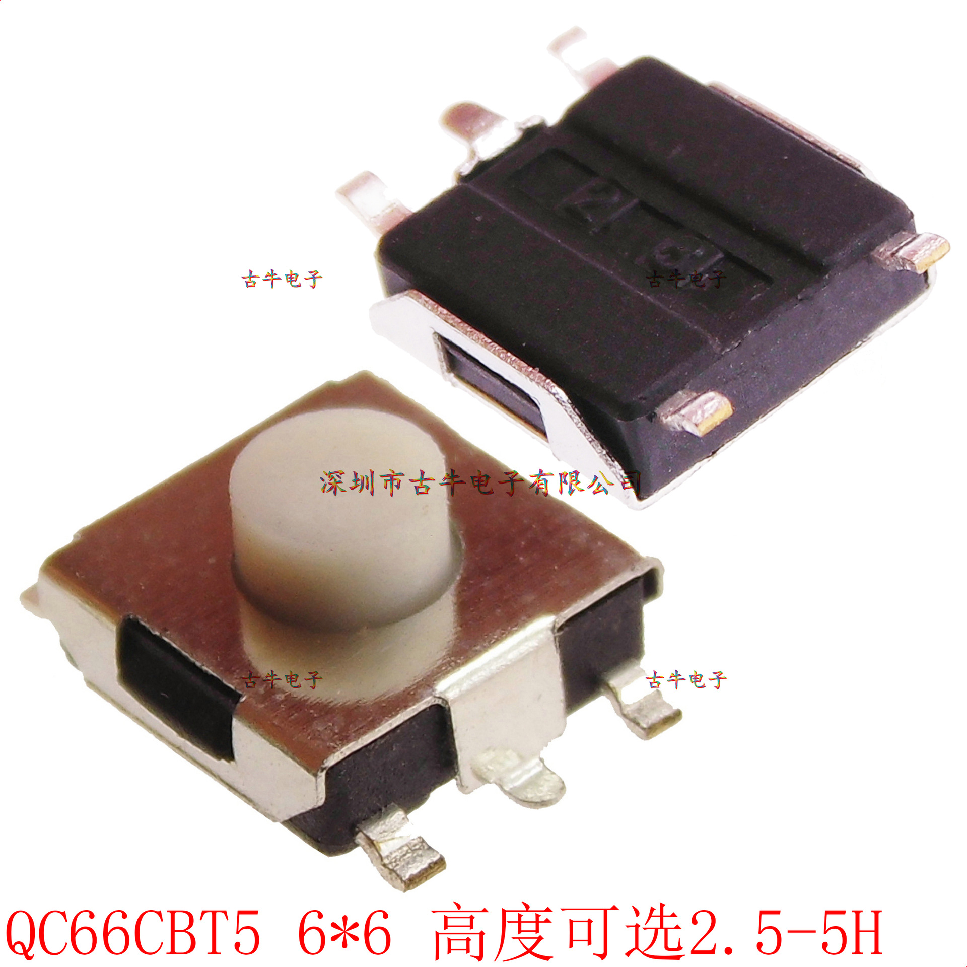 6*6超薄5脚 带地线白钮轻触开关 高度2.5/2.7/3.1--5H QC66CBT5
