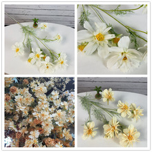 cɣٻ˹@÷滨ˇҸ^6[