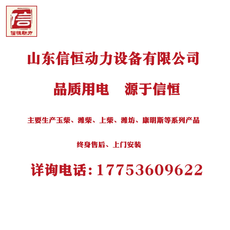 Небольшой дизельный генератор дизельного топлива Weifang 30 кВт дизельный генератор устанавливает набор чрезвычайных ситуаций по общенациональному страхованию