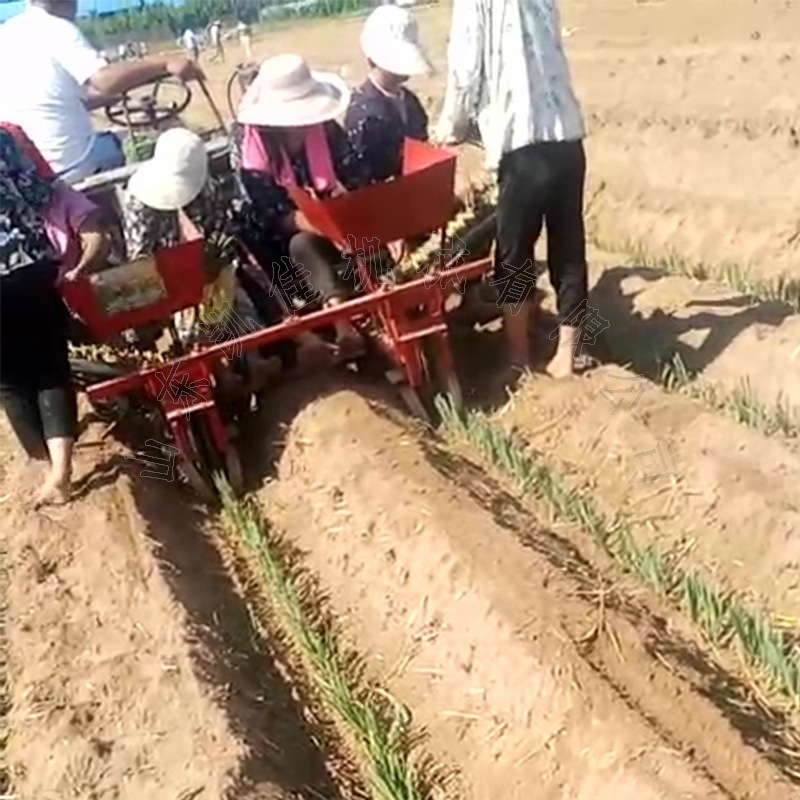 双行大葱移栽器 乘坐式大葱移栽器 18马力拖拉机带动葱秧栽种机