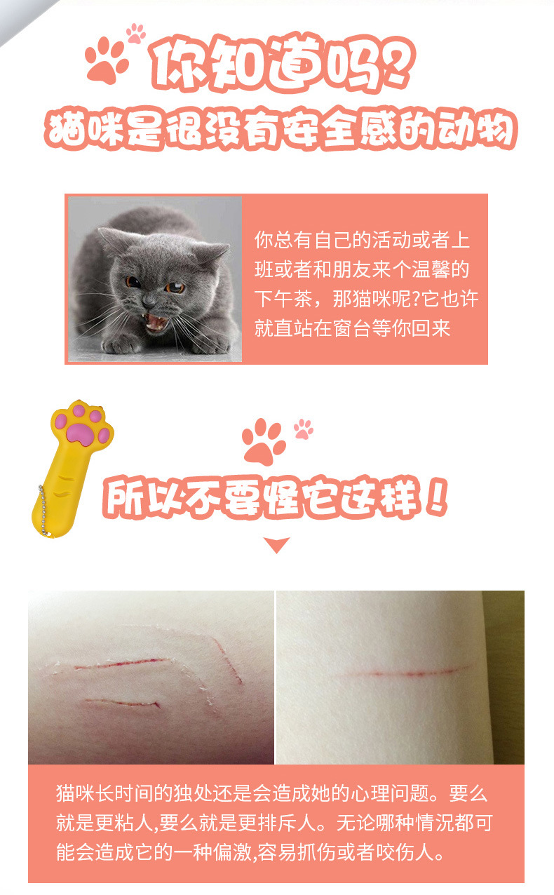 激光逗猫爆款_06.jpg