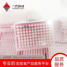 200μL透明盒装带滤芯无菌吸头/盒装灭菌透明滤芯吸头 96支/盒