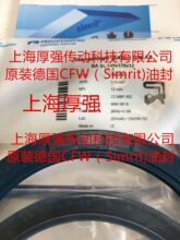 ��Simrit/FREUDENBERG�Ƶ��ͷ�CFW  BASL140-170-12 72NBR902