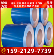 �����\�ʉT����TDC51D+Z PE���� ���ͺ� ��̼����߰� �ɫ�Rȫ