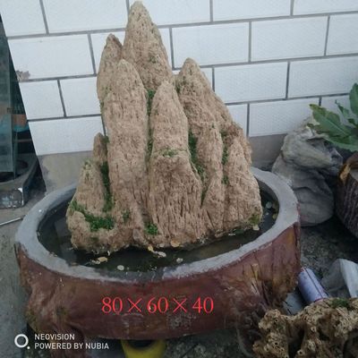 定制加工上水石盆景 上水石景观 麦管石芦管石 特价|ru