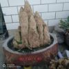 customized machining Sheung Shui Stone bonsai Shangshui Stone Landscape Straw stone Special Offer